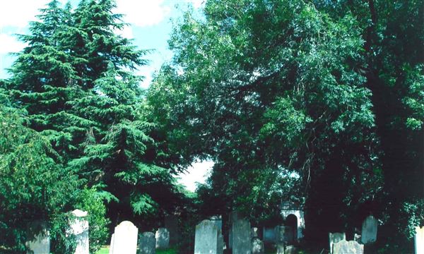 St Mary the Virgin, Wanstead (01/05/2019)