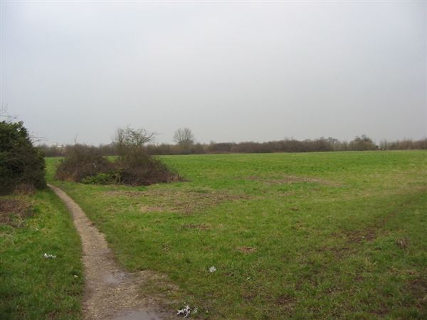 King George's Playing Fields (01/05/2019)