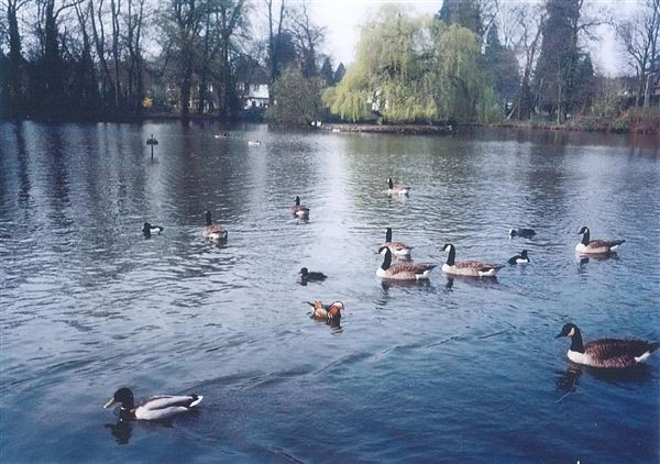 Canons Park Estate (01/05/2019)