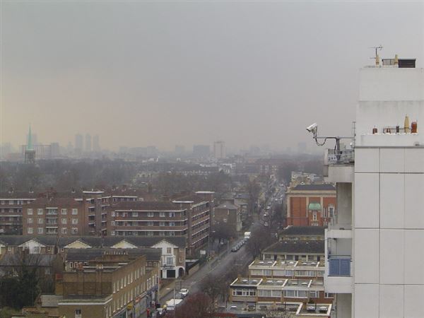 Gascoyne Estate (01/05/2019)