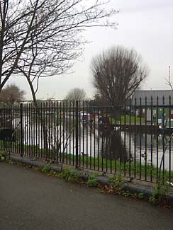 Springfield Park (01/05/2019)