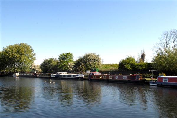 Springfield Park (01/05/2019)