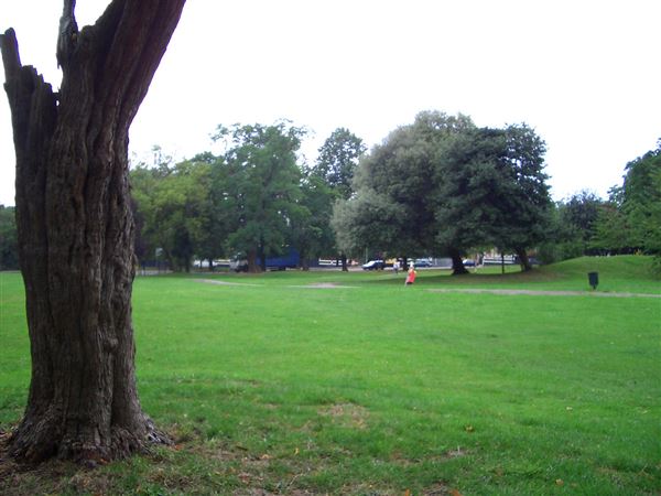 Avenue Gardens (01/05/2019)