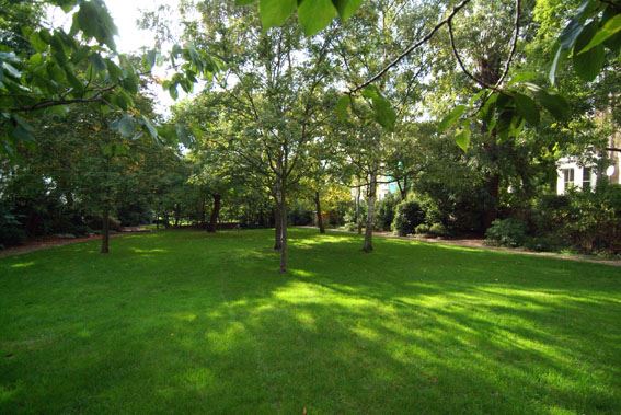 Blenheim & Elgin Communal Gardens (01/05/2019)