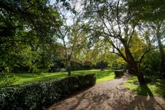 Blenheim & Elgin Communal Gardens (01/05/2019)