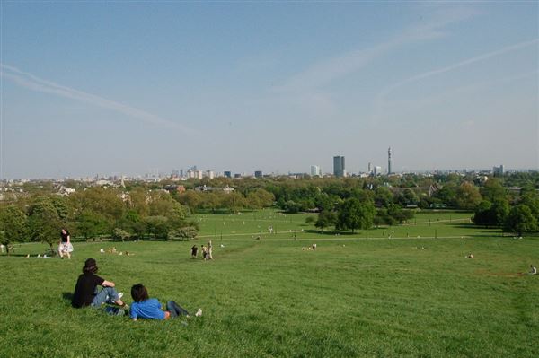 Primrose Hill (01/05/2019)