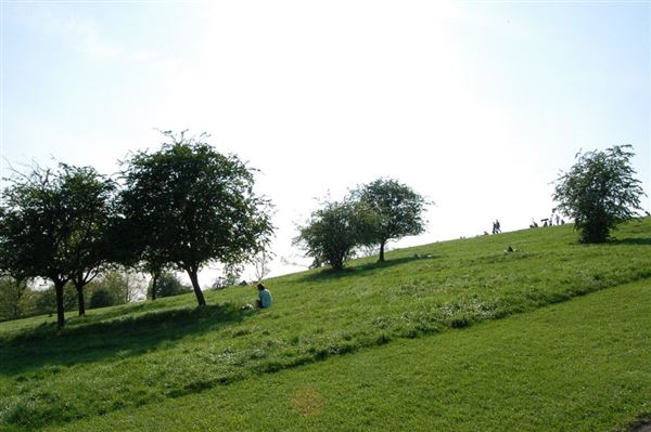 Primrose Hill (01/05/2019)