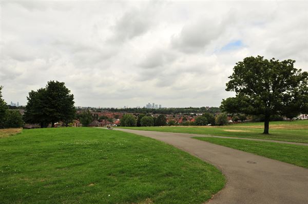Blythe Hill Fields (01/05/2019)