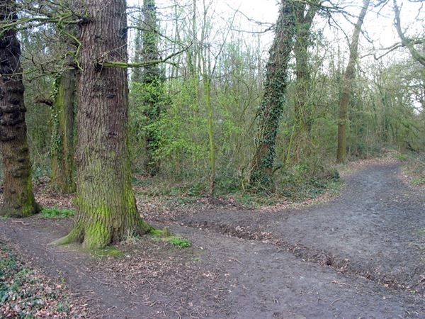 Fryent Country Park (01/05/2019)
