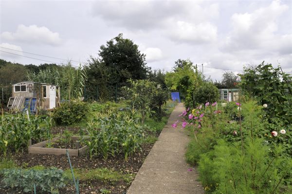 Birchen Grove Allotments (01/05/2019)