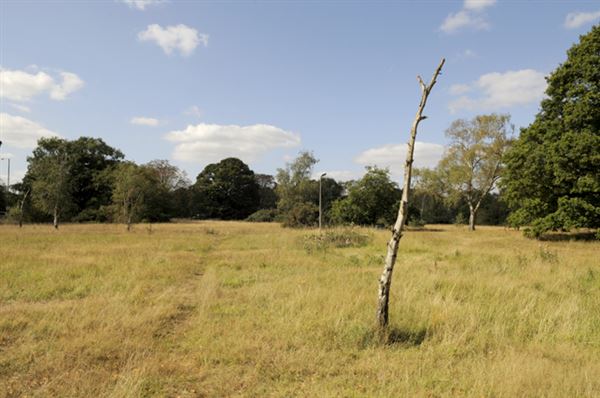 Barnes Common (01/05/2019)