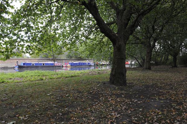 South Millfields Recreation Ground (01/05/2019)