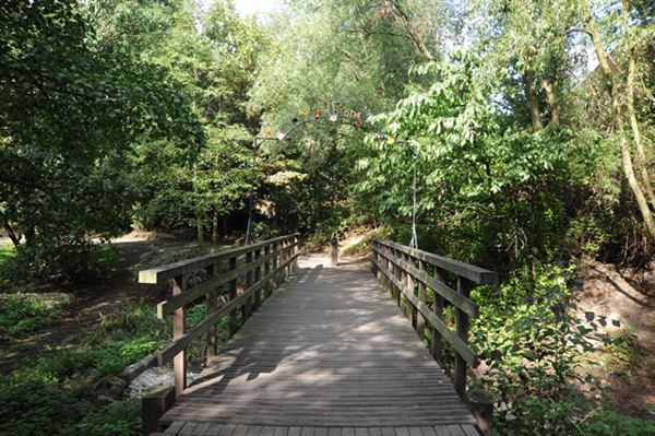 Russia Dock Woodland (01/05/2019)