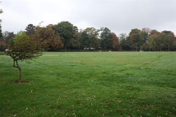 Woodcote Village Green (01/05/2019)
