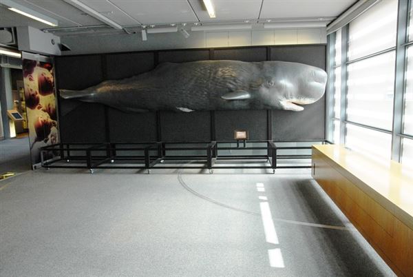 Natural History Museum - Darwin Centre (01/05/2019)