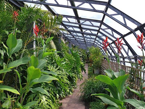 Wolves Lane Horticultural Nursery (01/05/2019)