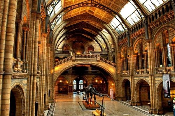 Natural History Museum (01/05/2019)