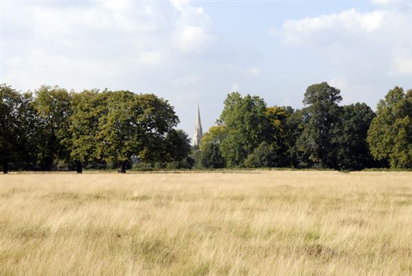 Richmond Park (01/05/2019)