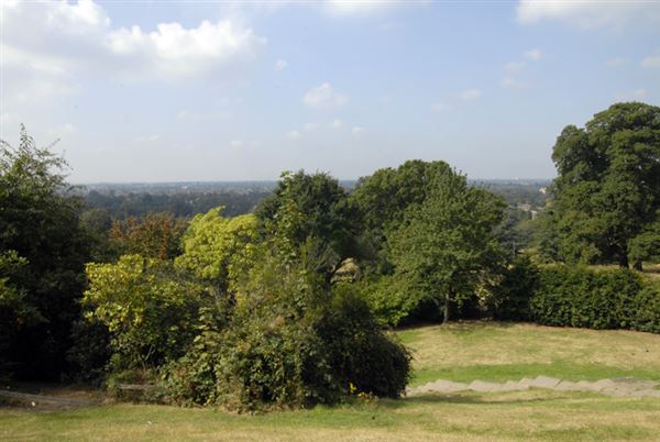 Richmond Park (01/05/2019)