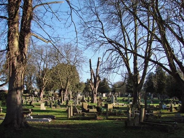 Richmond Old Cemetery (01/05/2019)