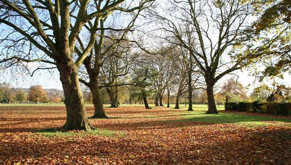 Hendon Park (01/05/2018)