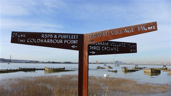 Rainham Marshes - Thames Side (20/04/2018)
