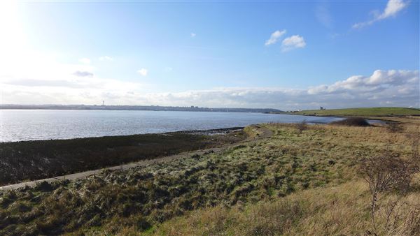Rainham Marshes - Thames Side (20/04/2018)