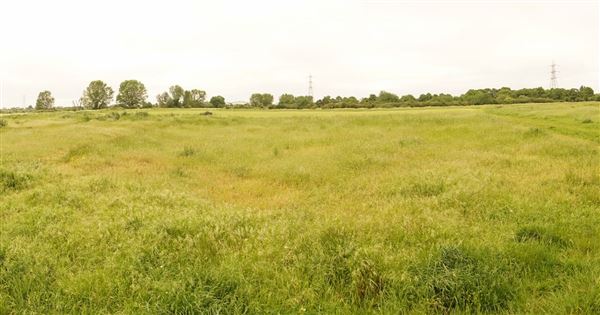 Walthamstow Marshes (30/04/2018)
