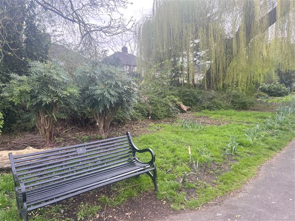 Plumstead Gardens (05/04/2023 - Credits: Yiyang Guo)