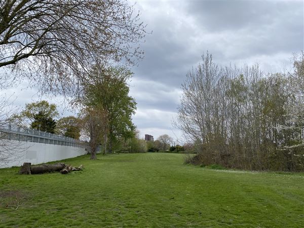 Abbey Hill Park (26/04/2023 - Credits: Phil)