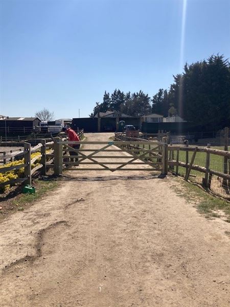 Honeybee Farm (01/05/2023 - Credits: submitted by: Jo Thompson)