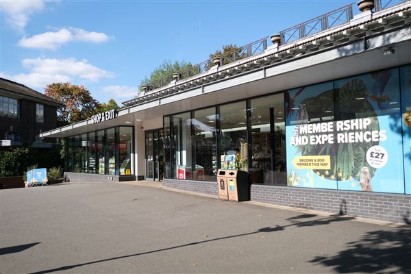 London Zoo (04/10/2024)