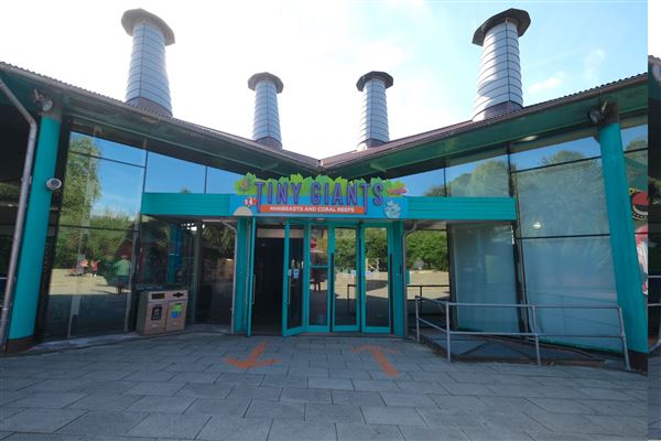 London Zoo (04/10/2024)