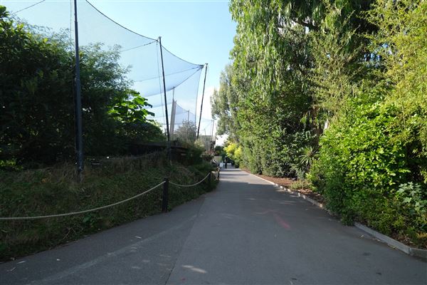London Zoo (04/10/2024)