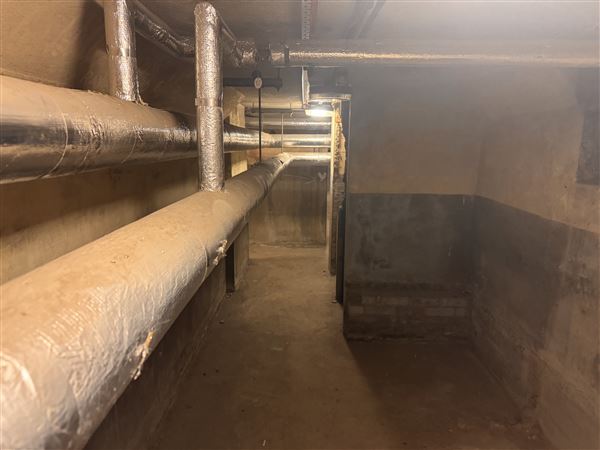 Barking Town Hall - Basement (17/01/2025)