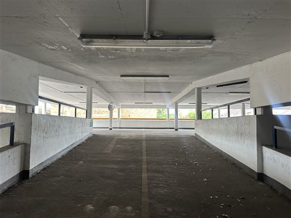 Bexleyheath Multi-Site (13/11/2025 - Credits: submitted by: Liz Charlton)