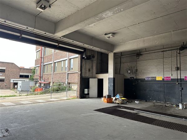 Bexleyheath Multi-Site (13/11/2025 - Credits: submitted by: Liz Charlton)