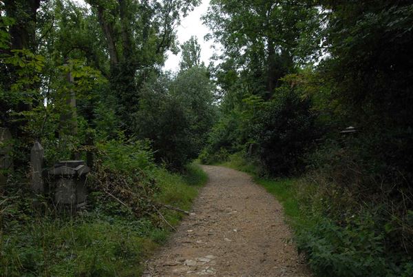 Abney Park Cemetery (01/05/2019)