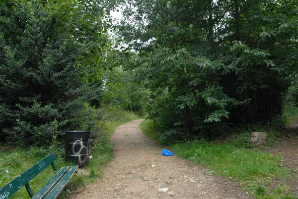 Abney Park Cemetery (01/05/2019)
