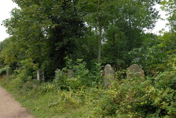 Abney Park Cemetery (01/05/2019)