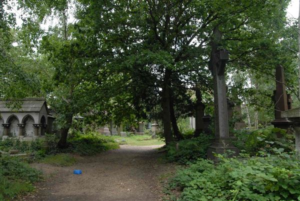 Abney Park Cemetery (01/05/2019)