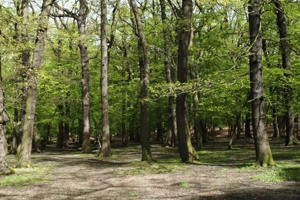 Grovelands Park (01/05/2019)