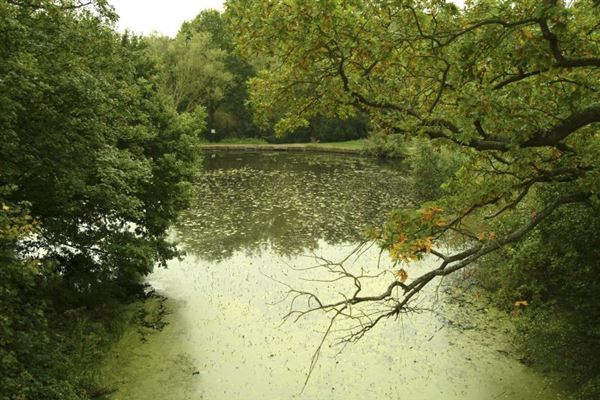 Hampstead Heath (01/05/2019)