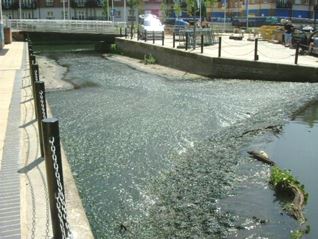 Brentford Lock (01/05/2019)
