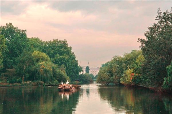 St James's Park (01/05/2019)