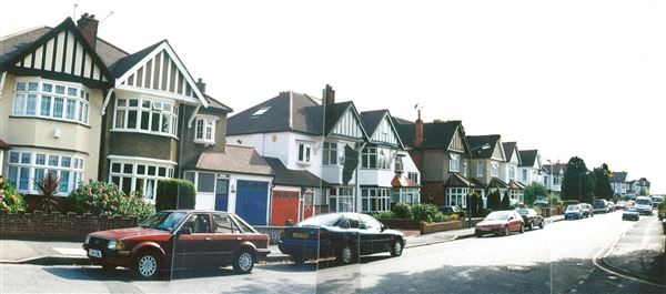 Eagle Lane (01/05/2019)