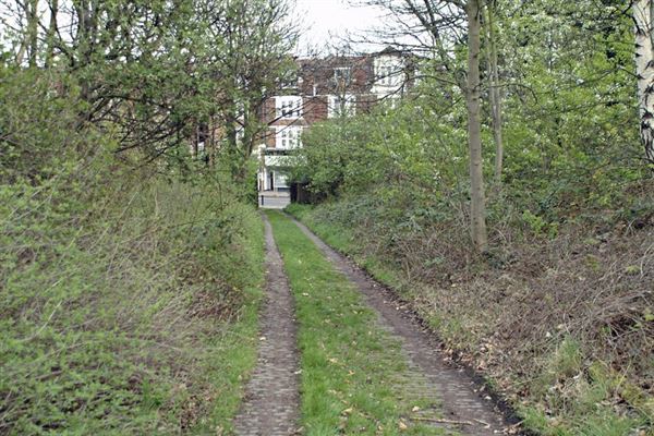 Railway Fields Nature Reserve (01/05/2019)