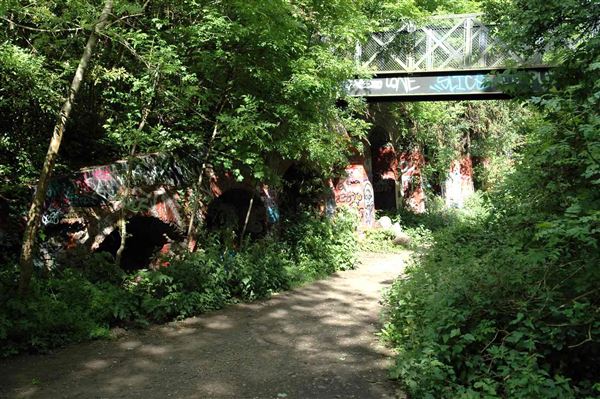 Parkland Walk (01/05/2019)