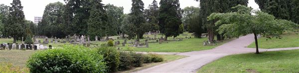 Lavender Hill Cemetery (01/05/2019)
