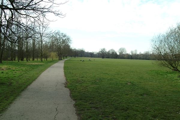 Tooting Triangle (01/05/2019)